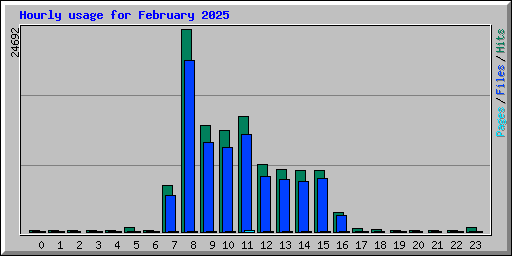 Hourly usage for February 2025