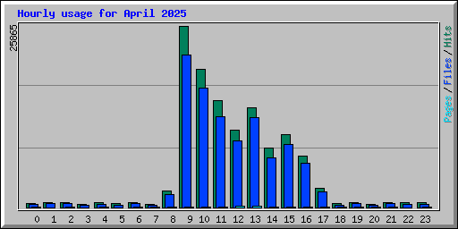 Hourly usage for April 2025