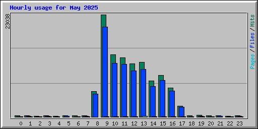 Hourly usage for May 2025