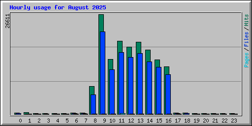 Hourly usage for August 2025