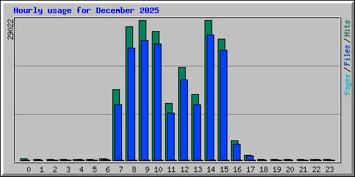 Hourly usage for December 2025