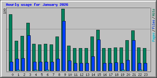 Hourly usage for January 2026