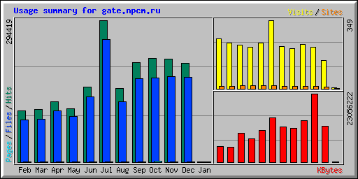 Usage summary for gate.npcm.ru